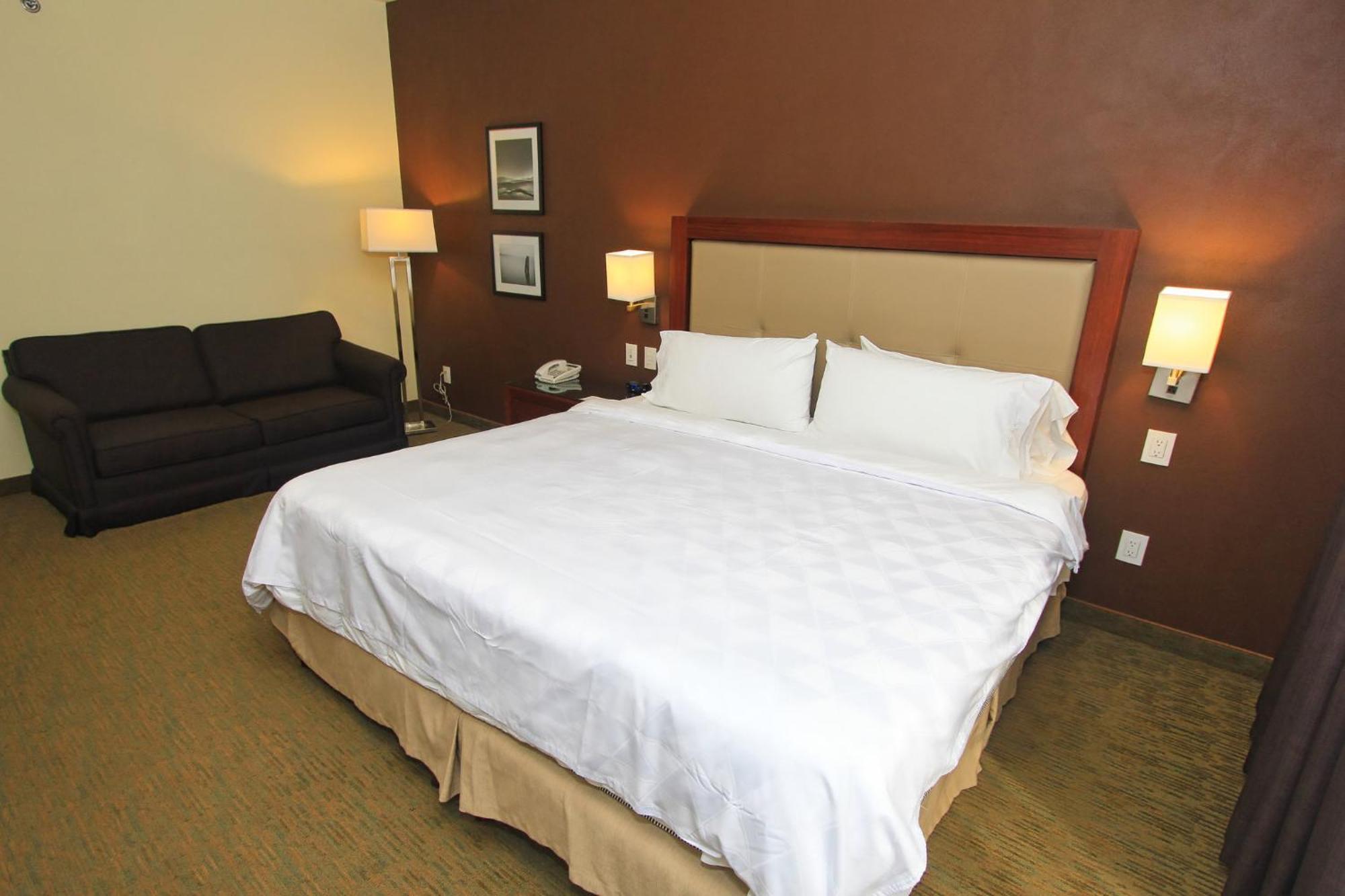 Holiday Inn Leon By Ihg מראה חיצוני תמונה